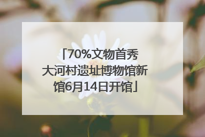 70%文物首秀 大河村遗址博物馆新馆6月14日开馆