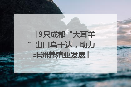 9只成都“大耳羊”出口乌干达，助力非洲养殖业发展