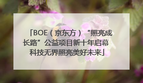 BOE（京东方）“照亮成长路”公益项目新十年启幕 科技无界照亮美好未来