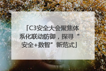 C3安全大会聚焦体系化联动防御，探寻“安全+数智”新范式