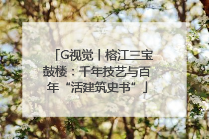 G视觉丨榕江三宝鼓楼：千年技艺与百年“活建筑史书”