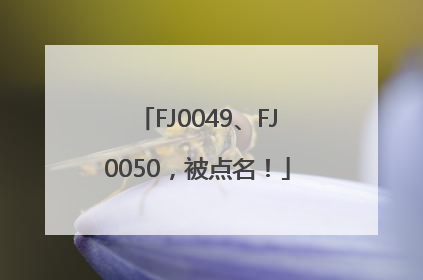 FJ0049、FJ0050，被点名！