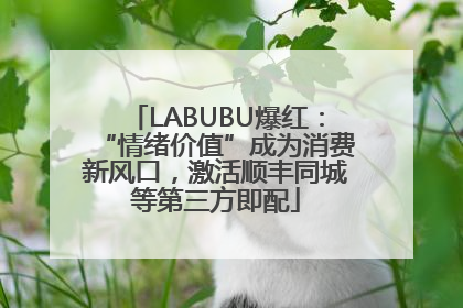 LABUBU爆红：“情绪价值”成为消费新风口，激活顺丰同城等第三方即配