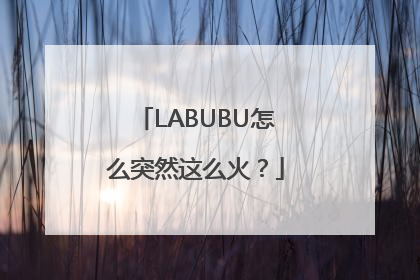 LABUBU怎么突然这么火？