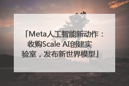 Meta人工智能新动作：收购Scale AI创建实验室，发布新世界模型