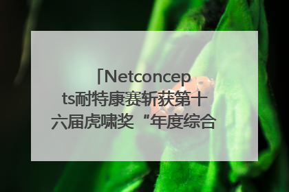 Netconcepts耐特康赛斩获第十六届虎啸奖“年度综合服务商”大奖
